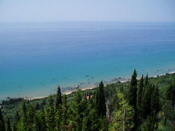 The bay from the plots