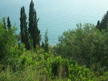 Plot 1 view