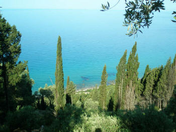 Plot 1 view